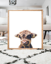 Load image into Gallery viewer, cute baby highland cow calf print