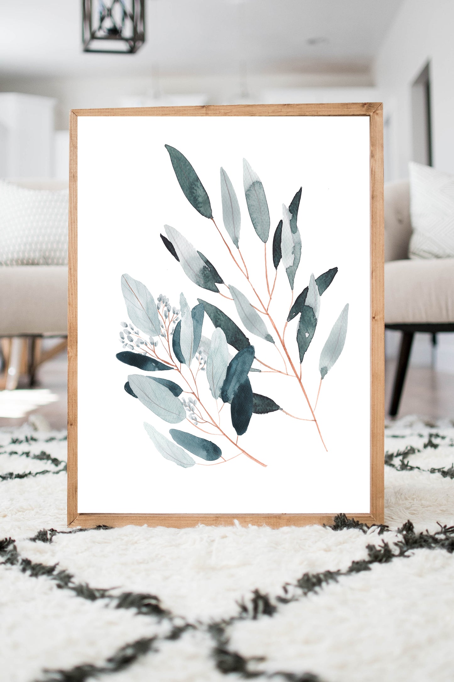 Eucalyptus Radiata