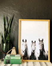 Load image into Gallery viewer, Horses
