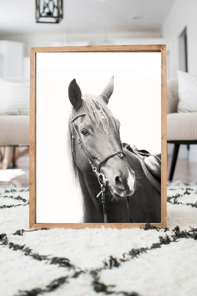Horse Single